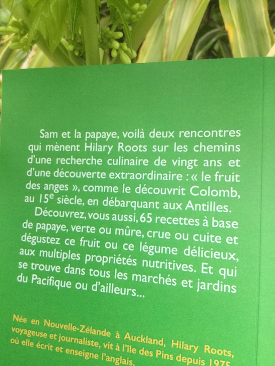 Histoire de Sam et la papaye